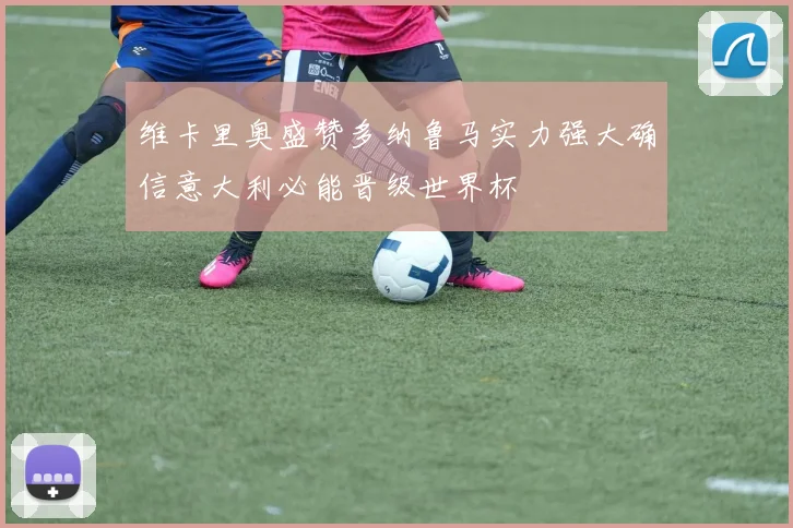 维卡里奥盛赞多纳鲁马实力强大确信意大利必能晋级世界杯